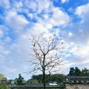 서산-동부-비상-21 | 추사 김정희 선생 고택과 정신적 이상 세계와 사상을 반영한 화암사