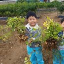 박달농원 이미지