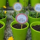 파란새싹어린이집 이미지