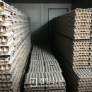 준 농장 이미지