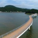 행운행정사사무소 이미지