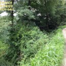 송라목장 이미지