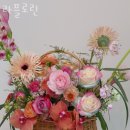 라플로린