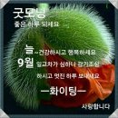 까치소리 이미지