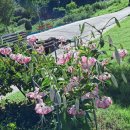 엘림햇살 이미지