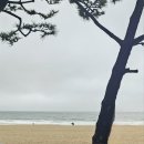 버스정류장 06-214 | 망한 부산 여행