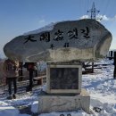 황산도 옛길 테마거리 | 🌲 강릉의 숲과 고개를 걷다: 솔향수목원 &amp; 대관령옛길