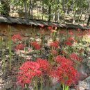 용천사 치유센터 이미지