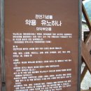 온천의꽃