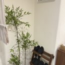 걸스행거 | 건대 신상 에어비엔비 리우하우스 친구들과 걸스나잇 만족100%