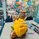 포레스트아웃팅스송도 인천송도카페 예쁜 대형식물원카페 추천