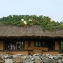 한경희광천토굴새우젓 이미지