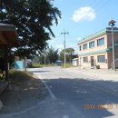 월운리 마을회관 이미지