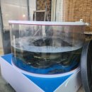 월류식당 이미지