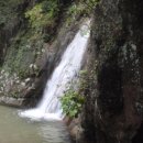 촉수엄금 이미지