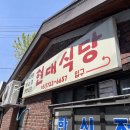 [테슬라이프] TESLA 후퍼옵틱 프나세 틴팅 후기 (5)