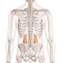 린나이가스기구 중앙점 이미지