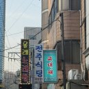 서초대로48길 23 | [교대역 맛집 삼겹살] 교대패 후기