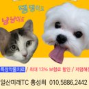 러비도기 이미지