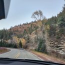 캐빈리조트민박 이미지