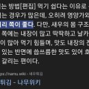 나는 새우튀김을 머리부터 꼬리까지 다 먹는다 vs 몸통만 먹는다 이미지