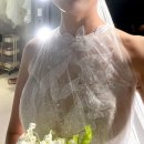 더에이미) 드레스 투어&본식 드레스 피팅 후기(루미/제스트/벨루어/제니/오브린느/레브/로코코레이스)