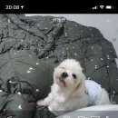 강남가자 포차 이미지