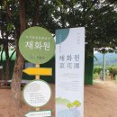 청룡텃밭 이미지