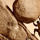 로로동물병원 이미지