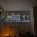 요즘자취필수템 이미지