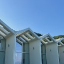 파인트리 스테이 이미지