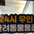 도그마캣작전
