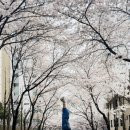 찬란한 태권도장 이미지