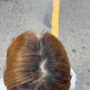 이혜영헤어샵