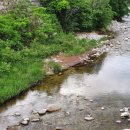 노닐다민박 | 노닐다 B&amp;B 남겨서뭐하게 민박 이영자도 반한 강릉 감성 민박!