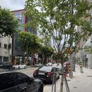 GS25 수성범어점 이미지