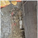 다원건축설비 이미지