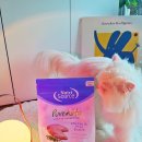 베베유카 | 장에좋은 고양이사료 퓨어비타 캣 그레인프리 치킨 후기 치킨앤완두콩 찐후기