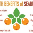 The 건강나무 이미지