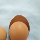 백운농장(2) 이미지