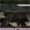 수미르펜션 이미지