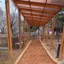 장안근린공원 내 이미지