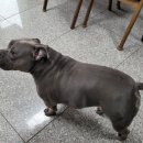 공삼일부동산중개사무소 이미지