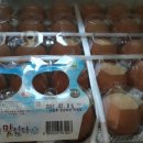 은성축산 이미지