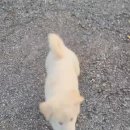 신통방통한 무현이ㆍ 이미지