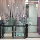 독살롱 다듬 이미지