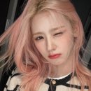 아도어 네이버블로그