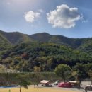 더숲캠핑장 이미지