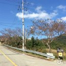 완도청소년 수련원 이미지