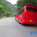 수양산 펜션 Daum카페